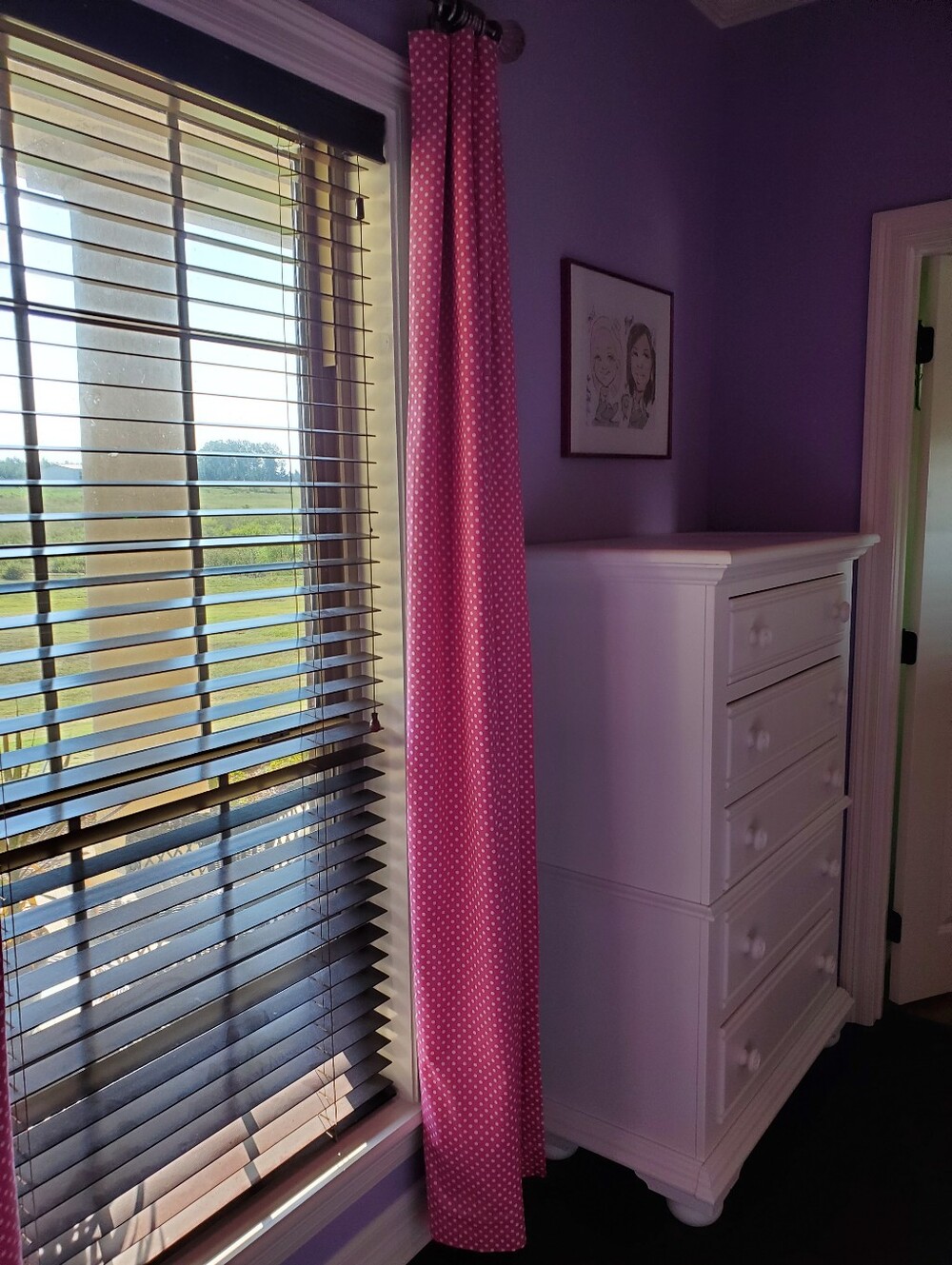 Pottery Barn Kids Pink Polka Dot Blackout Curtains